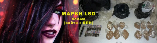 таблы Осинники