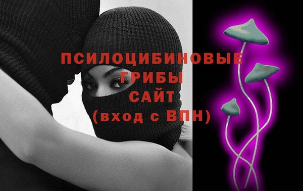 таблы Осинники